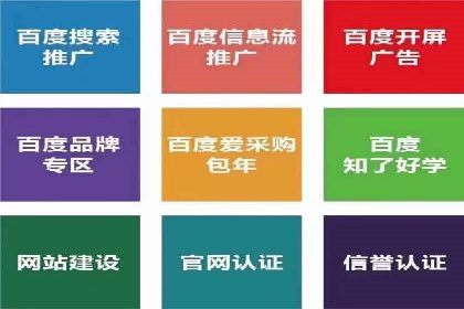 案例深度解读：SEM网络推广如何助力企业转型